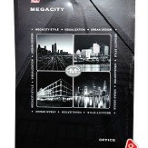 Папка А4 картонная на резинке HATBER Megacity