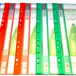 Папка с файлами перфор. 30 шт Felibao/AB-L30