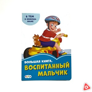 Большая книга "Воспитанный мальчик" 2180