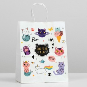 Пакет крафт с бумажными ручками "Glad to be cat"/1009