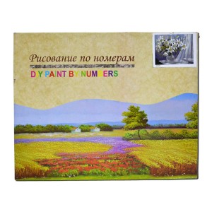 Рисование по номерам 40х50см