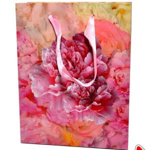 Пакет подарочный 1358